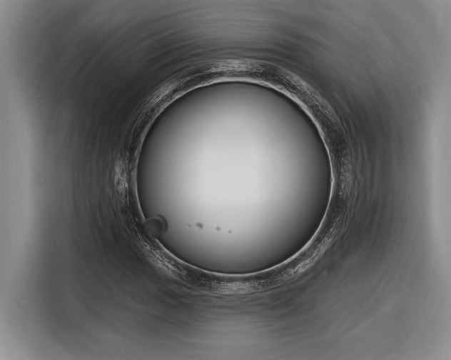 X0000116851017200912221114