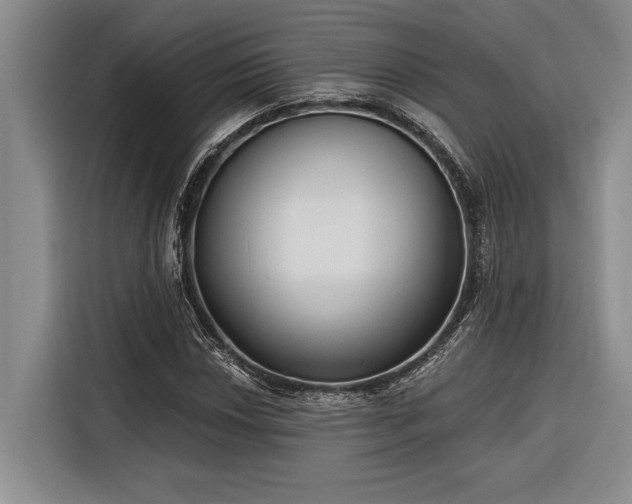 X0000116851018200912221114