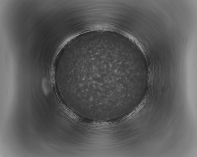 X0000116851019200912221114
