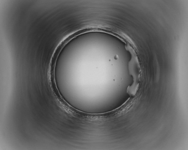X0000116851020200912221114