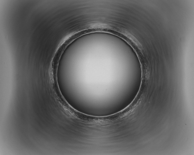 X0000116851022200912221114