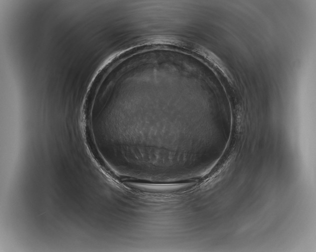 X0000116851024200912221114