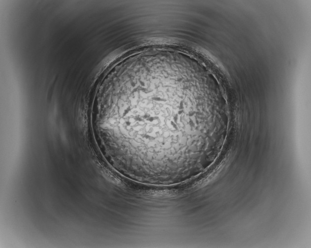 X0000116851025200912221114