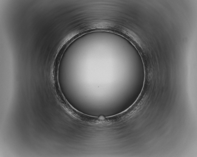 X0000116851026200912221114