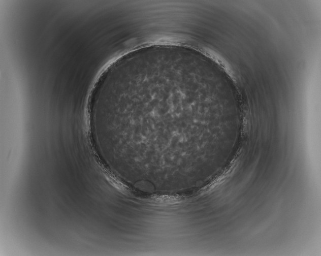 X0000116851027200912221115