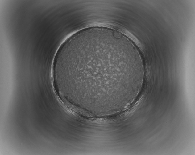 X0000116851028200912221115