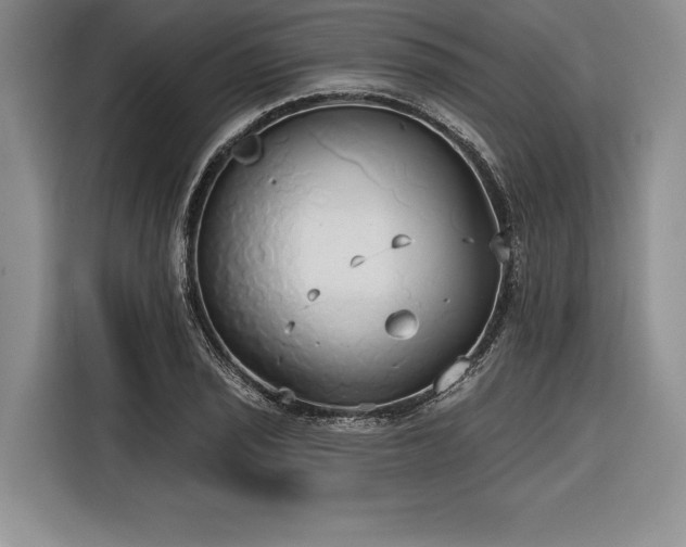 X0000116851029200912221115