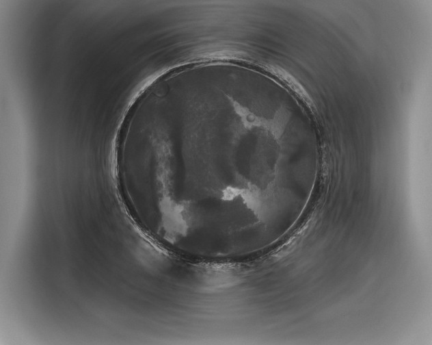 X0000116851031200912221115