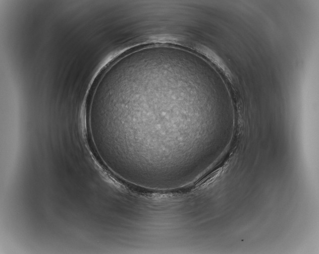 X0000116851032200912221115