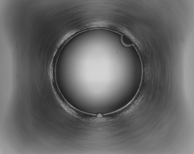 X0000116851034200912221115