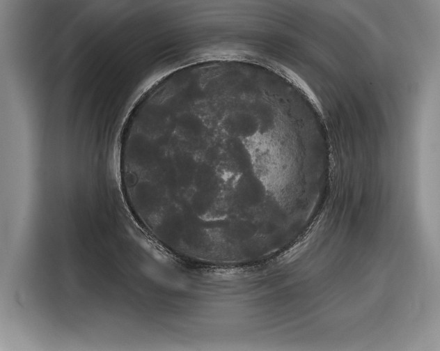X0000116851035200912221115