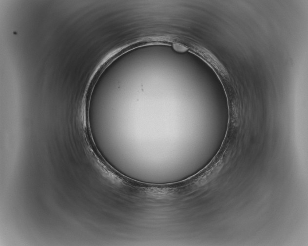 X0000116851036200912221115