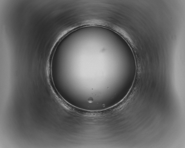X0000116851040200912221115