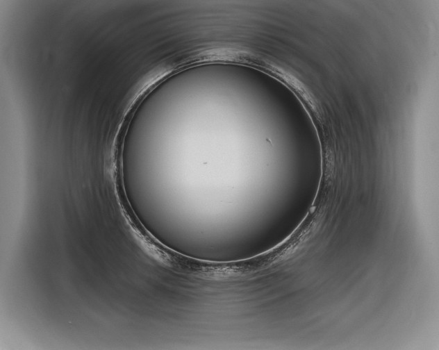 X0000116851042200912221115