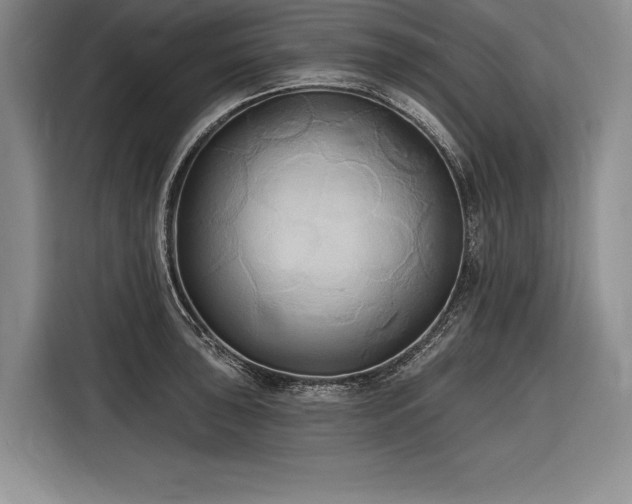 X0000116851043200912221115