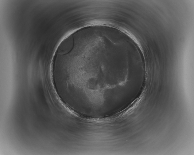 X0000116851045200912221115