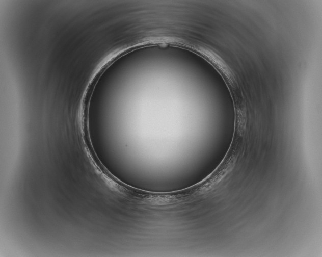 X0000116851046200912221115