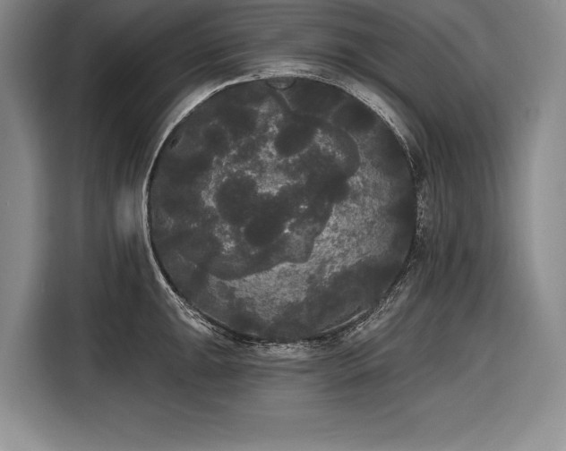 X0000116851047200912221115