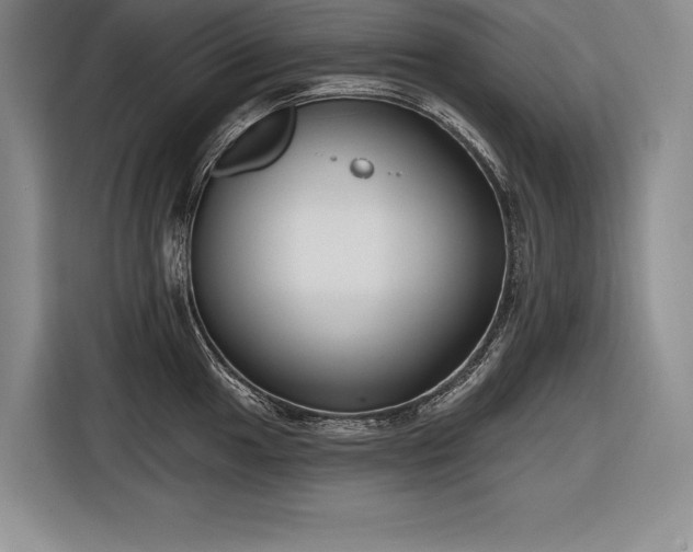 X0000116851049200912221115