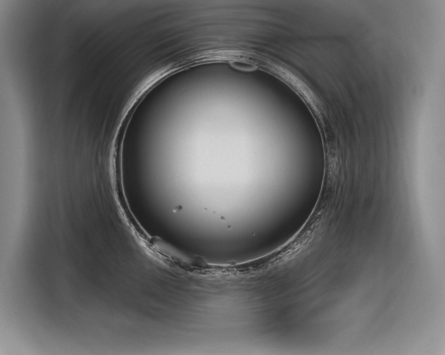 X0000116851050200912221115
