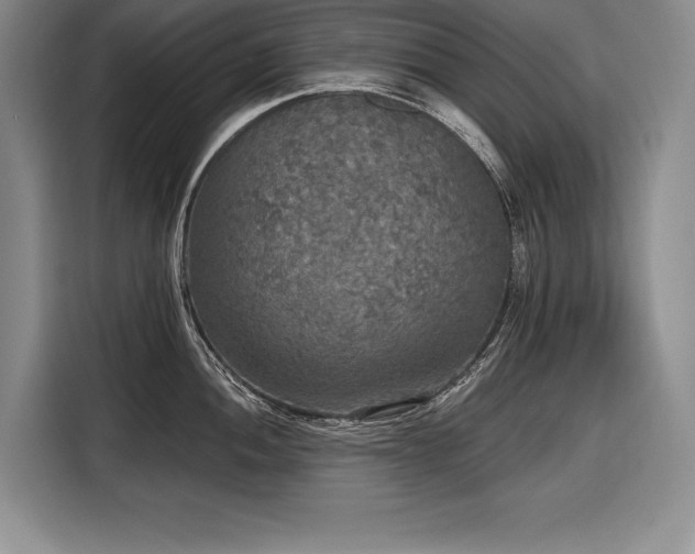 X0000116851052200912221115