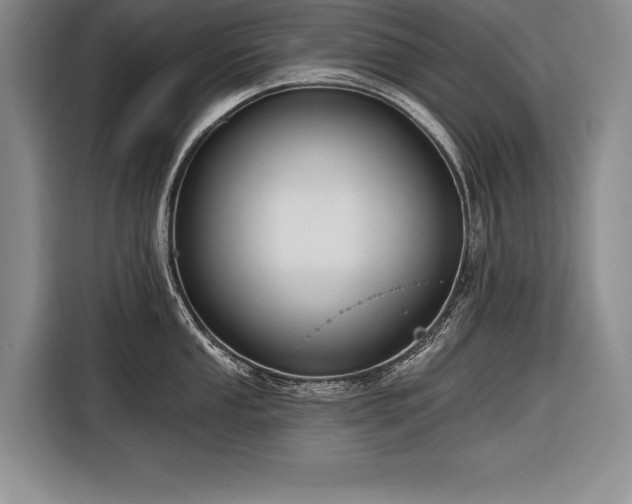X0000116851053200912221115