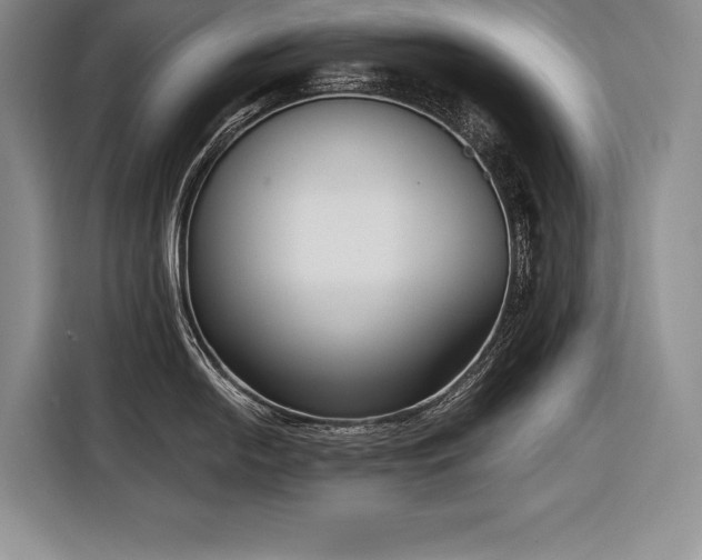 X0000116851054200912221115