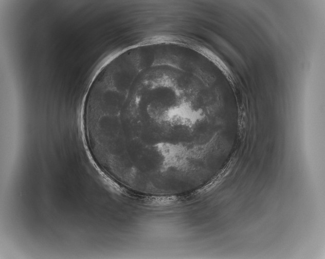 X0000116851055200912221115