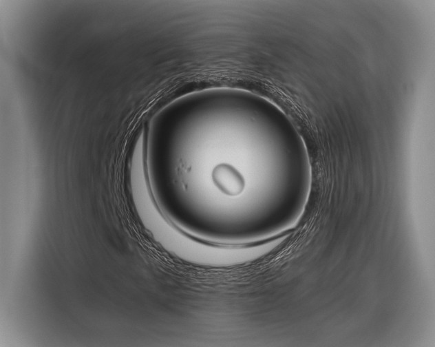 X0000116851057200912221114