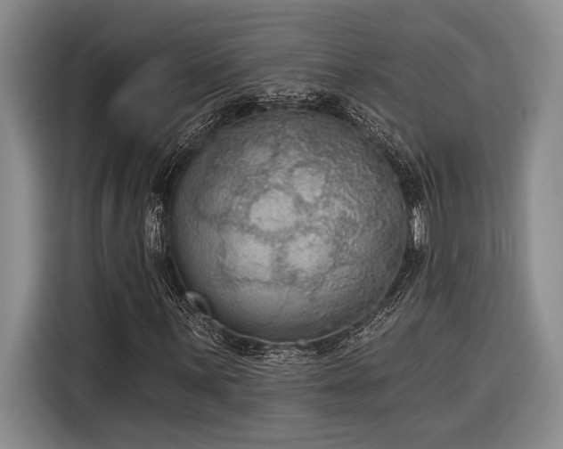 X0000116851059200912221114