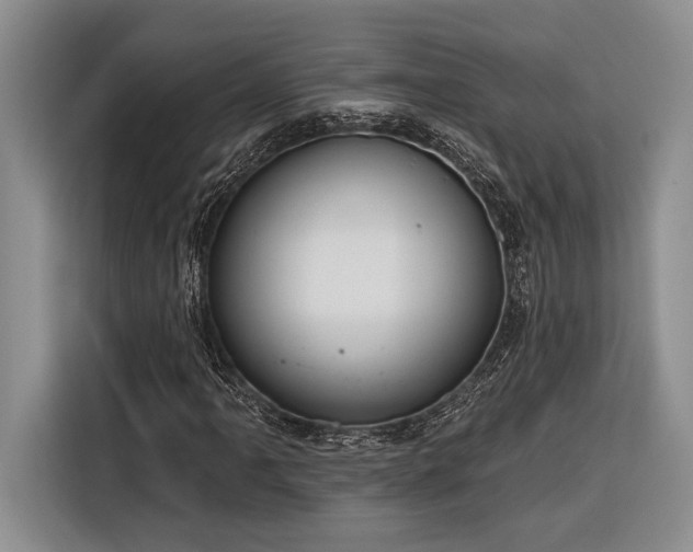 X0000116851061200912221114
