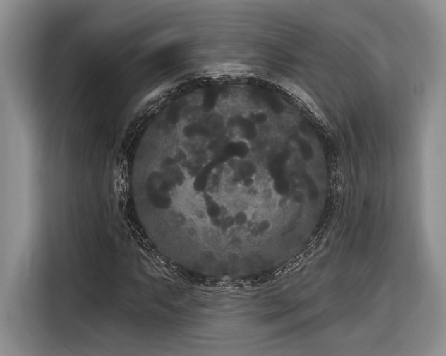 X0000116851063200912221114