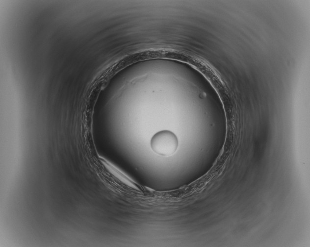 X0000116851064200912221114