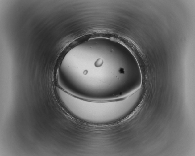 X0000116851065200912221114