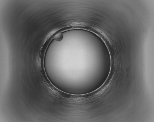 X0000116851066200912221114