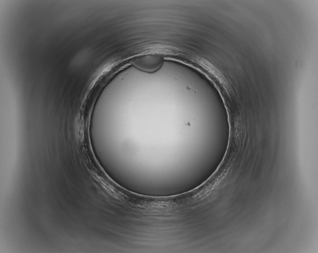 X0000116851067200912221114