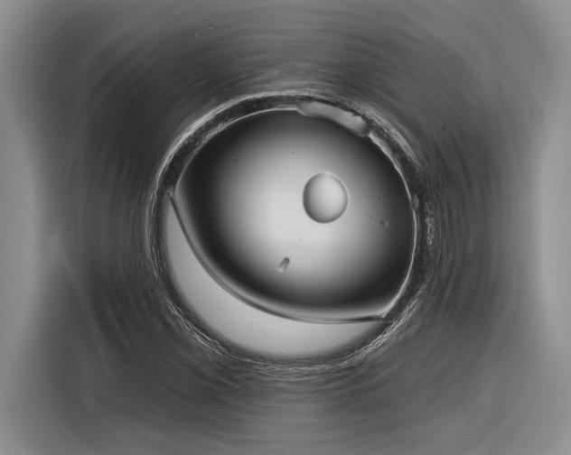 X0000116851069200912221114
