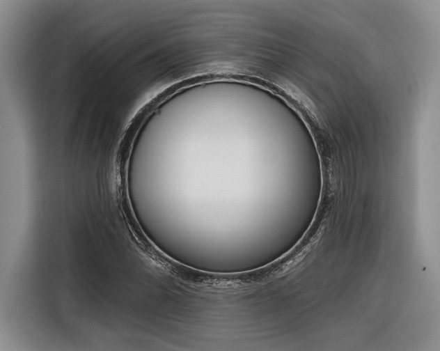 X0000116851070200912221114