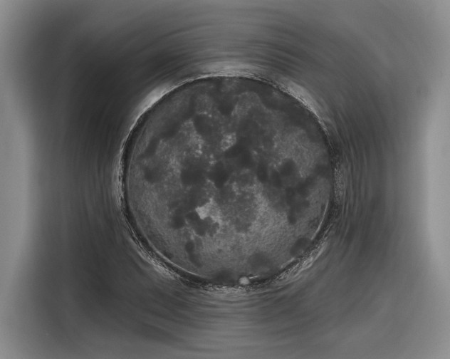 X0000116851071200912221114