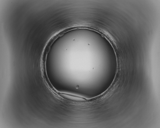X0000116851072200912221114