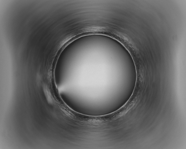 X0000116851073200912221114