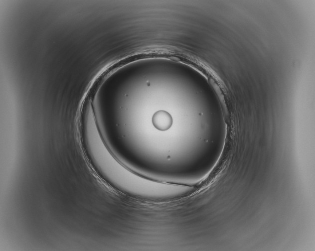 X0000116851075200912221114