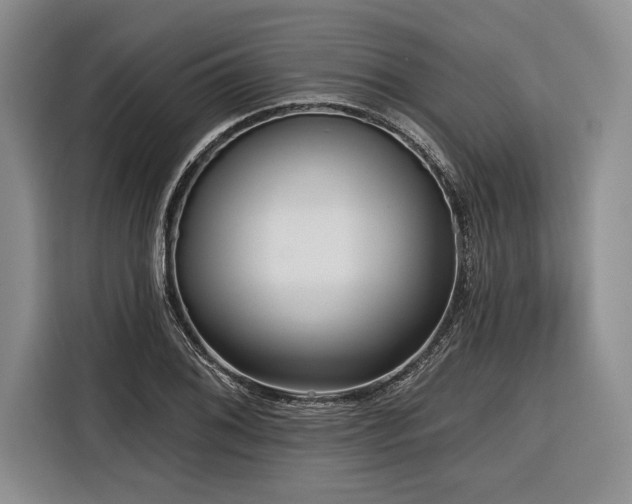 X0000116851076200912221114