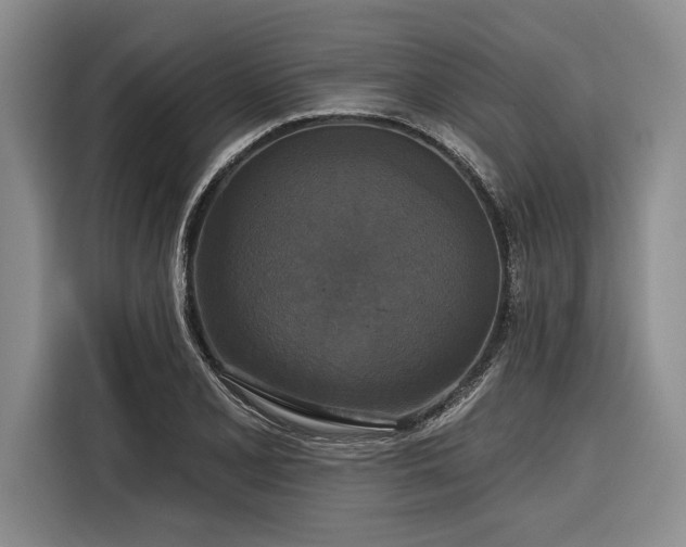 X0000116851077200912221114