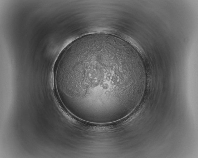X0000116851079200912221114