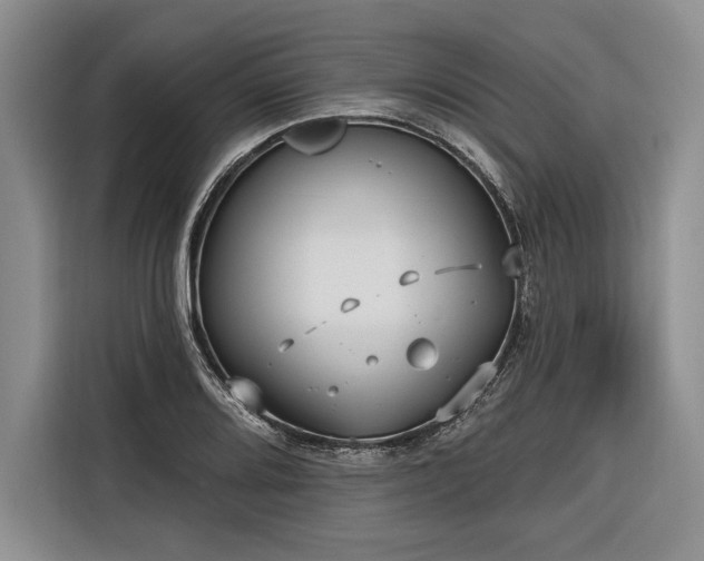 X0000116851080200912221114