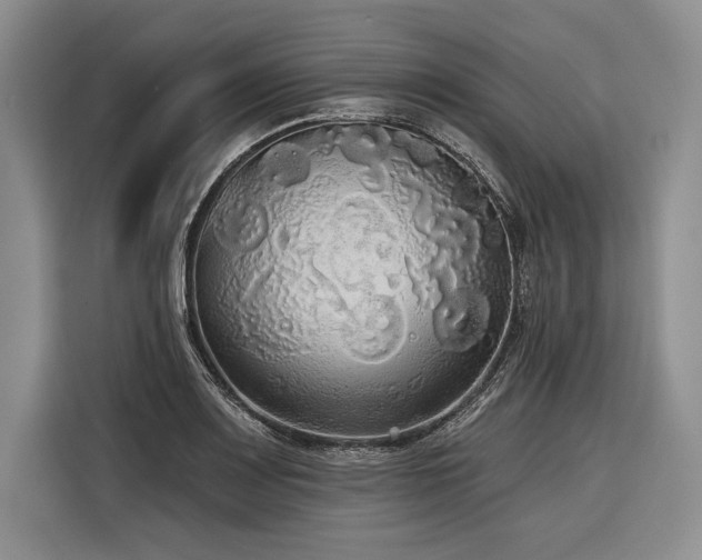 X0000116851083200912221114
