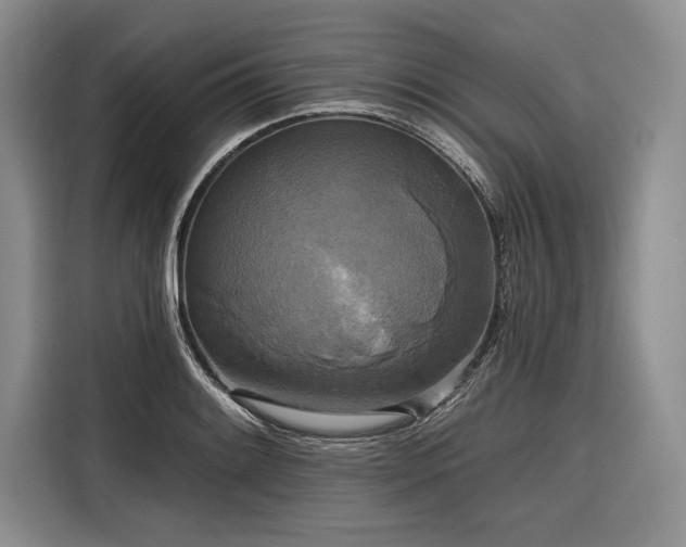 X0000116851084200912221114