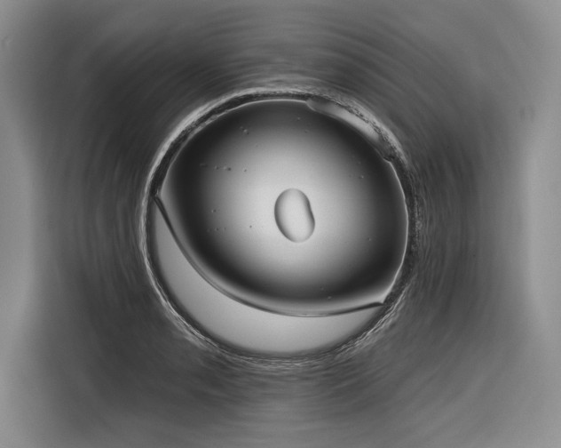 X0000116851085200912221114