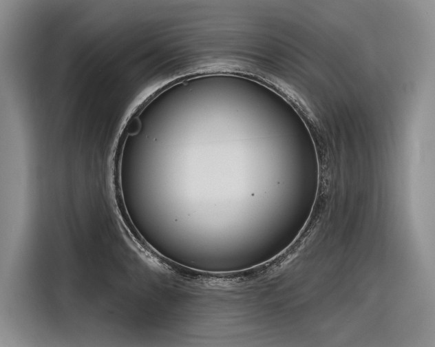 X0000116851086200912221114